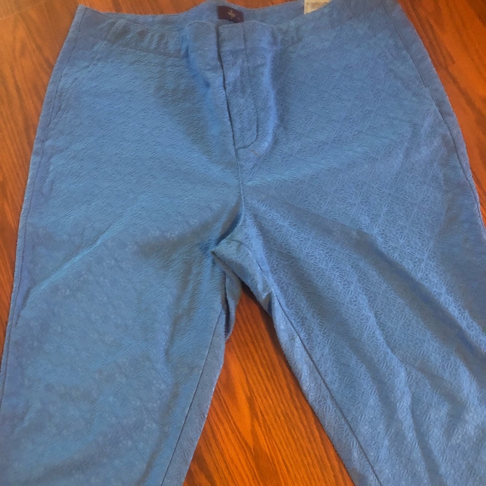 NYDJ blue skimmer pants size 16